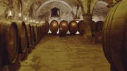 Weintanks und Weinfässer