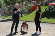 Cesar spricht mit Suzy, während er Kaine im DPC hält. (National Geographic)