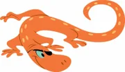 Der orange Molch mit seinen gelben Flecken und der Augenklappe ist Tom und Jerry nicht immer gut gesonnen.