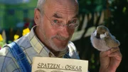 Peter (Peter Lustig) hat vom Bärstädter Filmteam für seine Hilfe beim Drehen des Films "Der Spatz von Bärstadt" den SPATZEN-OSKAR verliehen bekommen.
