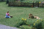 Angie (Angelika Reißner) hat sich mit dem Löwen von einem Wanderzirkus angefreundet. Sie findet es ganz normal, dass sie der Löwe plötzlich in Brinkmanns Garten besucht.