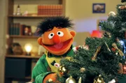 Ernie freut sich auf das Weihnachtsfest.