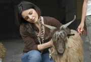 Susanne Mertens (Elisabeth Lanz) will das im Zoo aufgetauchte Zicklein wieder zu dessen Besitzern bringen.