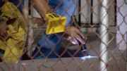Investigation