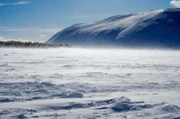 In den norwegischen Bergen beginnt eine riesige Rentierherde ihren Abstieg für die Geburtenzeit.