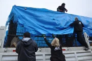 Jan pulls a tarp over the lions.