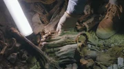 Das Massengrab der Krieger: Entdeckt wurden mumifizierte Überreste von etwa 60 Menschen. Wer waren die Toten aus dem Alten Reich Ägypten?