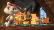 Oma Pina bittet die Buffycats, den Dachboden aufzuräumen. Ob das gut geht?