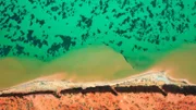 Die größten Seegraswiesen der Welt finden sich vor der australischen Küste. Sie sind effektive Kohlendioxid-Speicher.