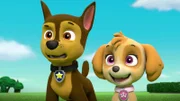 L-R: Chase, Skye