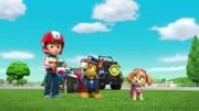 L-R: Ryder, Chase, Skye