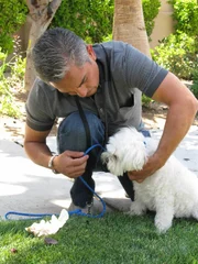 Für Cesar Millan geht es nicht nur darum, Hunde auszubilden - es ist vielmehr ein Training für Hundebesitzer.