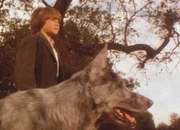 James (Jason Bateman) hat sich mit einem wilden und gefährlichen Hund angefreundet ...