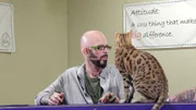 Jackson Galaxy next to Zeus who's sitting on a rail.