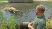 Elefantenbulle Tamo aus dem Opel-Zoo plantscht im kühlen Nass. Pfleger Marcel König ist glücklich.
