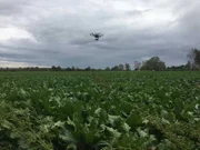 Die Drohne erfasst den Zustand des ganzen Felds