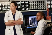 Während Cristina und Owen ihre Ehe endgültig beenden, versuchen Callie (Sara Ramirez, l.) und Jackson (Jesse Williams, r.), Derek zu einer riskanten Operation zu überreden, die seine Hand wieder funktionsfähig machen könnte ...