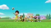 L-R: Ryder, Chase, Skye, Marshall, Rubble, Zuma, Rocky