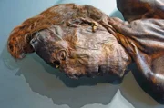 Clonycavan Man wurde das Opfer eines keltischen Rituals. Sein Leichnam wurde in einem irischen Torfmoor gefunden.  Das Moor hat ihn perfekt konserviert.