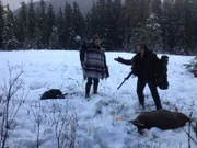 Matt Brown decides he will gut the deer since Bam Bam Brown successfully shot it.