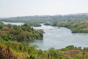 Blick auf die Stromschnellen des Victoria-Nil-Flusses. Jinja, Uganda, Ostafrika.