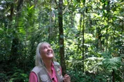 Forscher und Forscherinnen hatten jahrelang Bäume vom Boden aus erforscht. Meg Lowman war eine der ersten, die erkannte, dass sie hoch hinauf muss um die Artenvielfalt zu entdecken und die Giganten zu verstehen.
