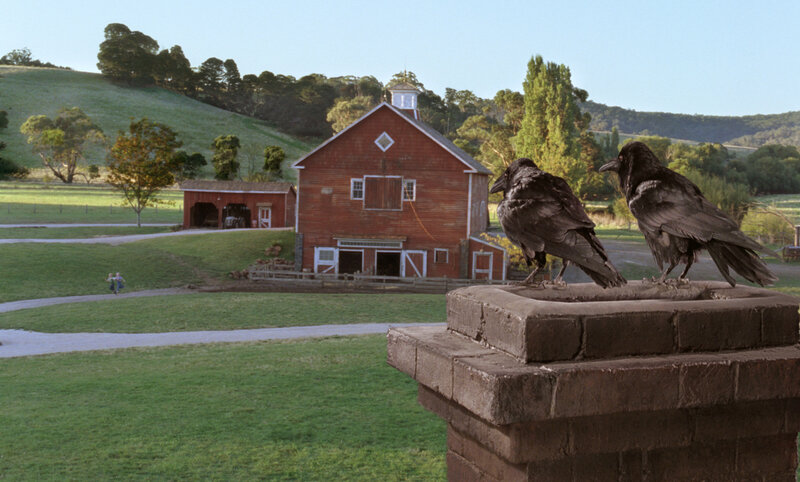 Schweinchen Wilbur und seine Freunde (USA/D, 2006)