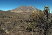 Kilimandscharo.