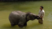 Christian Wenzel geht mit Elefantenkind Rani baden.