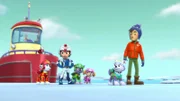 L-R: Marshall, Ryder, Rocky, Skye, Everest, Jake