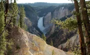 Die sogenannten Lower Falls - der größte Wasserfall in Yellowstone.