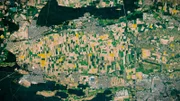 Satellitenbild der leuchtend gelben Rapsfelder.