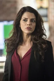 Gregorio (Vanessa Ferlito) in Panik: Schafft sie es mit ihrem Team, den entführten Sebastian zu retten und somit einen gefährlichen Gefängnis-Ausbruch zu verhindern?