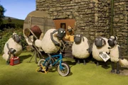 Der kaputte Fernseher des Bauern hält die Schafe ganz schön auf Trab.