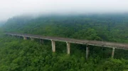Bildunterschrift: Inmitten des brasilianischen Urwalds ragt eine Brücke über den Baumkronen hervor. Das Kuriose: Sie endet im Nichts.