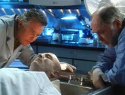 War es Mord? Gil (William Petersen, l.) und Dr. Robbins (Robert David Hall, r.) untersuchen die Leiche von Alex James (Loren Lazerine), in dessen Kopf ein dicker Holzpflock steckt.