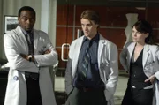 L-R: Foreman (Omar Epps), Chase (Jesse Spencer), Cameron ( Jennifer Morrison)