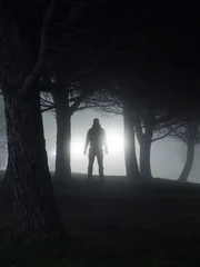 Silhouette of a man standing in park at night.