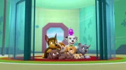 Chase, Zuma, Rubble, Skye, Marshall, The Space Alien's toy, Rocky