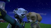 L-R: Marshall, Skye