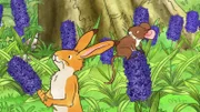 Kleiner brauner Hase Mit begibt sich mit seiner Freundin, der kleinen Feldmaus,auf die Suche nach dem besonderen Duft und finden herrlich duftende Blumen auf der Wiese.