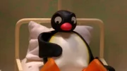 Guetnachtgschichtli Pingu Staffel 6 Folge 10 Pingu – Bauchweh Pingu im Krankenhaus.  Copyright: SRF/Joker Inc., d.b.a., The Pygos Group