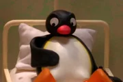 Guetnachtgschichtli  Pingu  Staffel 6  Folge 10  Pingu – Bauchweh  Pingu im Krankenhaus.    Copyright: SRF/Joker Inc., d.b.a., The Pygos Group