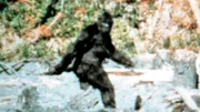 Bigfoot