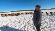 Heideschäferin Verena Jahnke hat rund 1.700 Schafe und Heidschnucken, die auch im Winter zum Fressen quer durch die Heide geführt werden müssen.