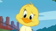 Quacker