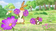 Der kleine Hase und die kleine Feldmaus haben viele Blumensträuße für ihre Freunde gepflückt, die sie gleich überreichen wollen. Da bemerken sie, dass ihnen ein Schwarm Schmetterlinge auf Schritt und Tritt folgt.