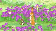 Der kleine Hase und die kleine Feldmaus sind so begeistert von den Blumen, dass sie für all ihre Freunde einen Strauß pflücken wollen.