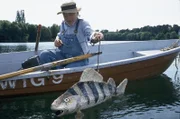 Peter (Peter Lustig) hat sich einen großen Fisch gebastelt. Im Inneren des Fisches steckt eine Kamera. Peter wird den Fisch schwimmen lassen, vielleicht erhält er so Fotos von dem Bärstädter See-Monster.