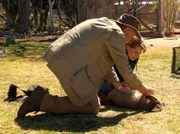 Dr. Ritschel verarztet einen verletzten Löffelhund.